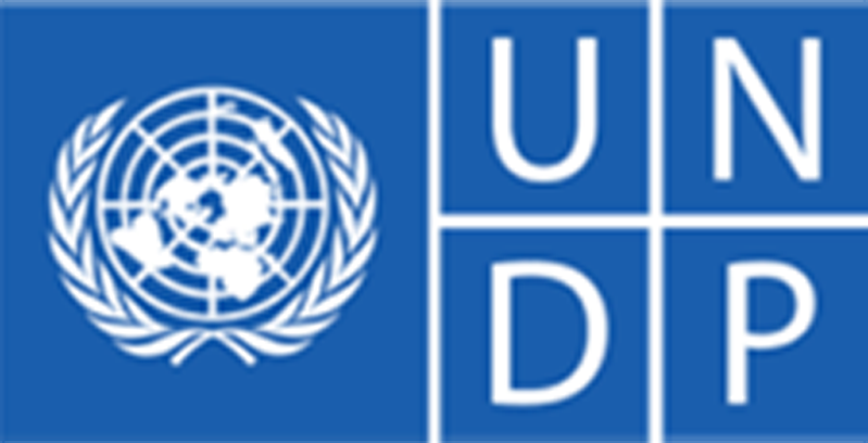 UNDP logo — United Nations Development Programme — youth livelihoods partner